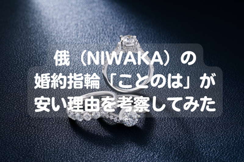 niwaka-kotonoha_800x531